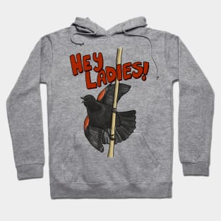 HEY LADIES! Red Winged Blackbird Hoodie